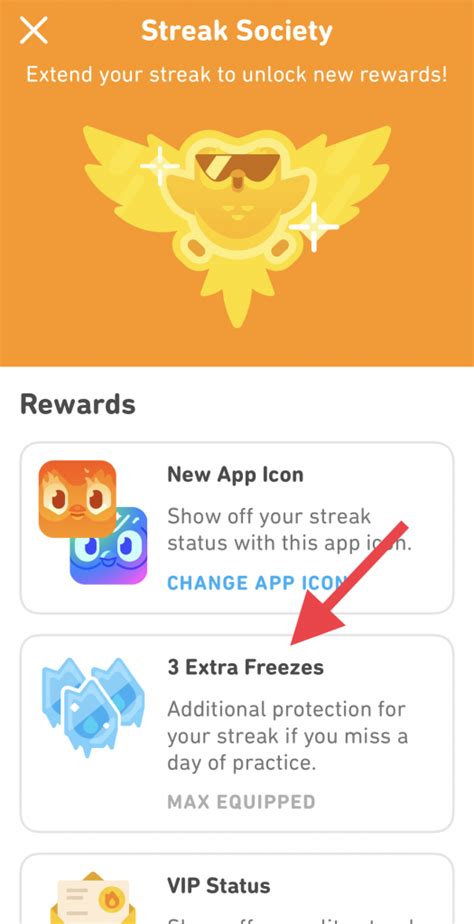 duolingo streak freeze 5/5 equipped|How To Use Streak Freeze In Duolingo (Easiest Way) .